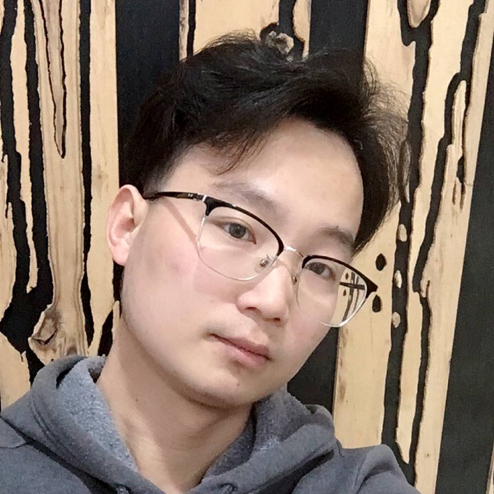 飞翔的笨蛋的照片