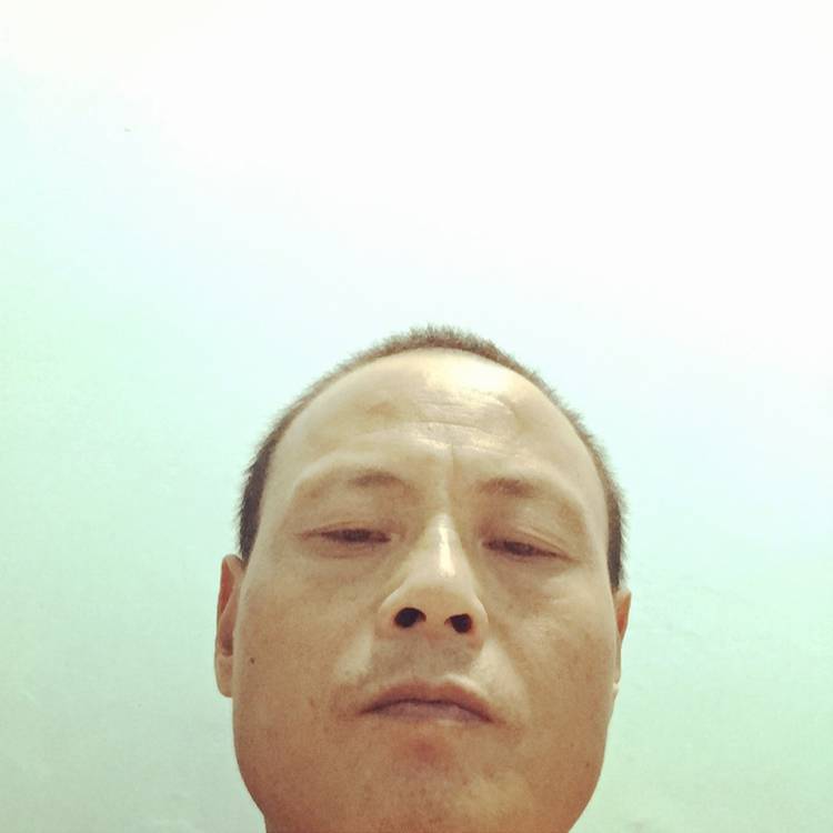 绿草迎贤惠的照片
