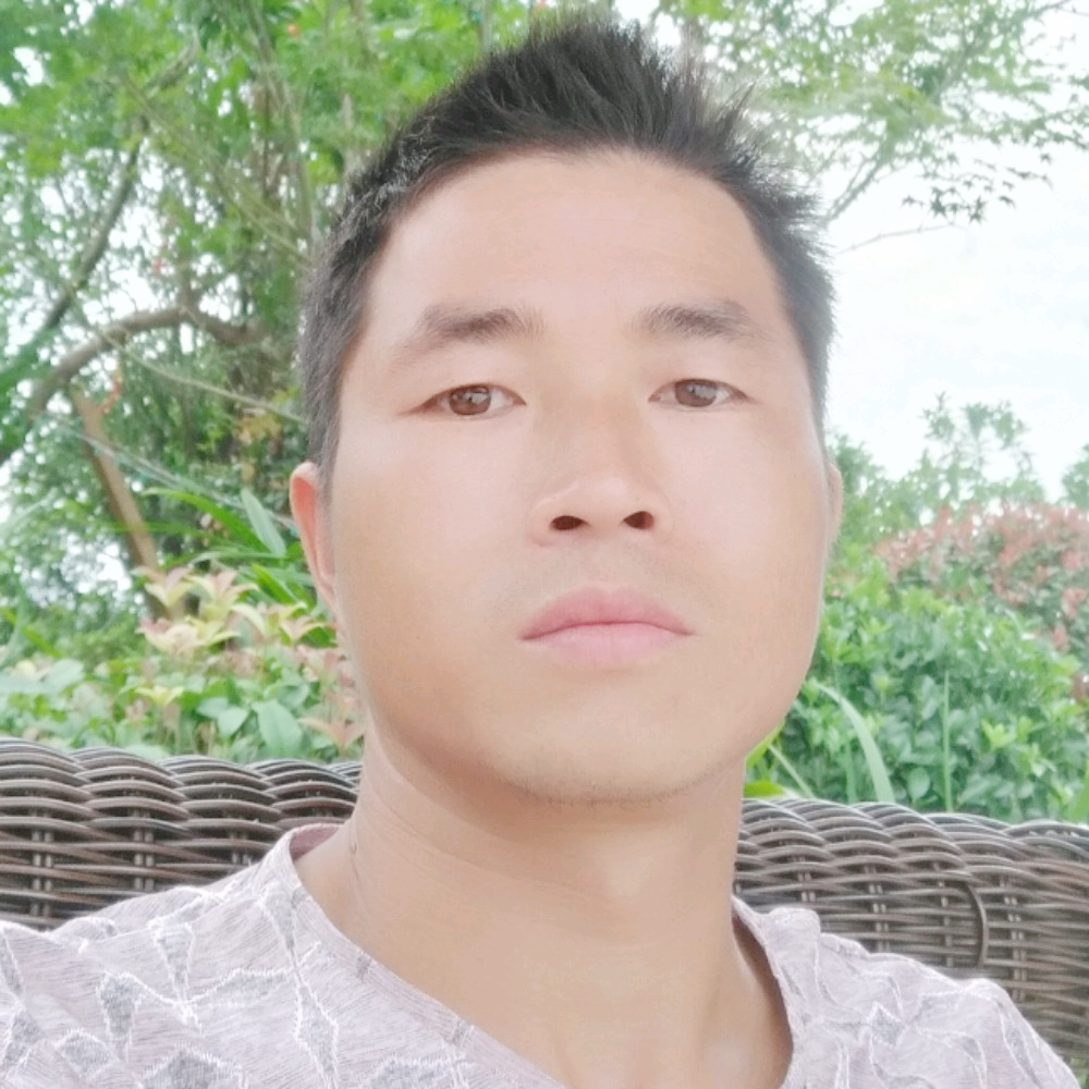 手机的坚强的照片