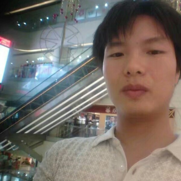 黑米苗条的照片