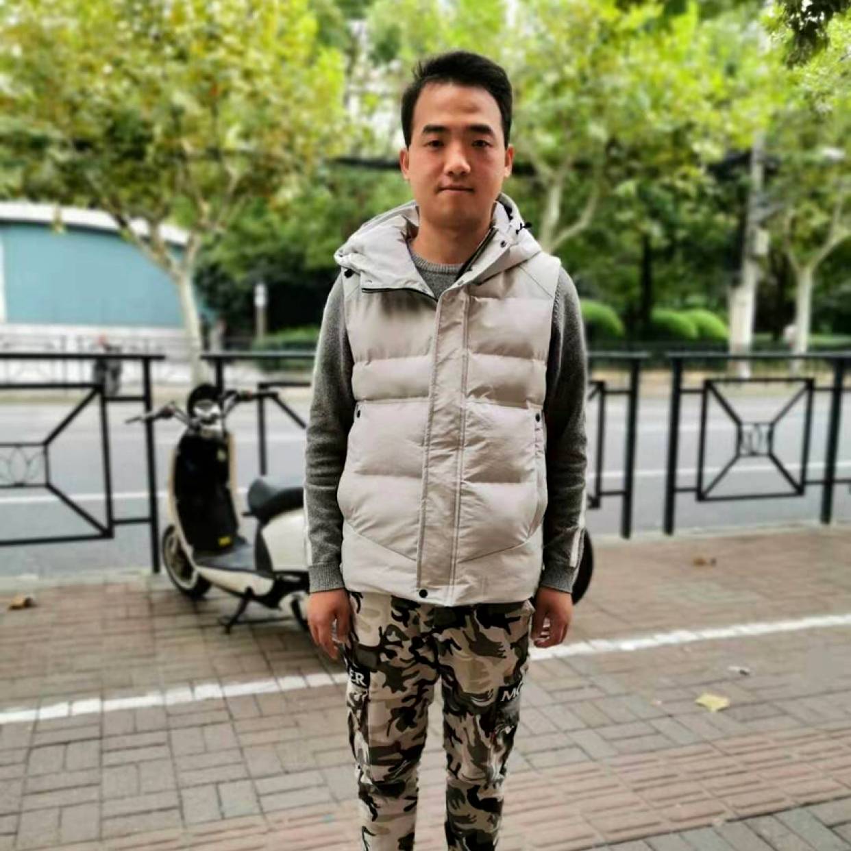 精明向向日葵的照片