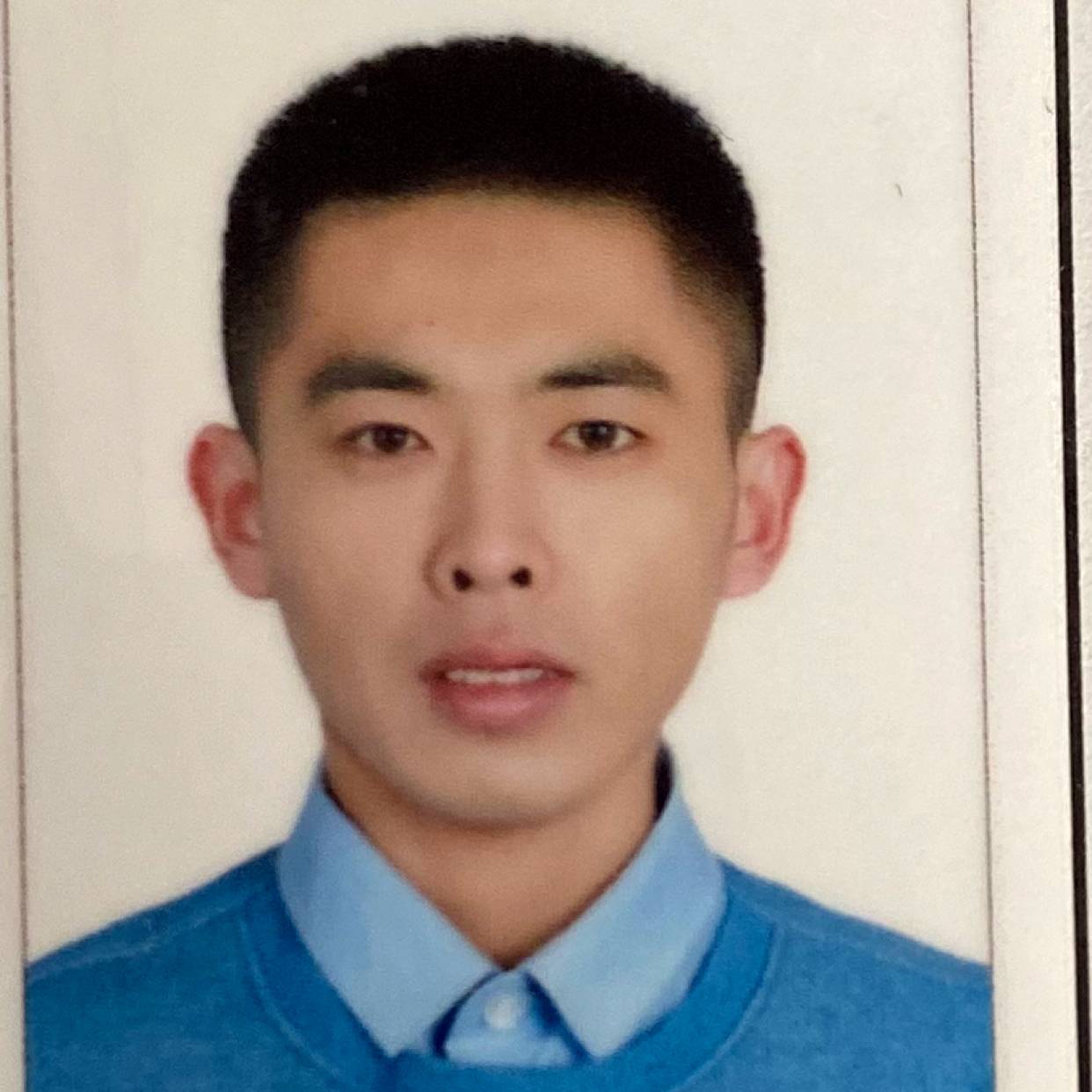 阔达向大象的照片