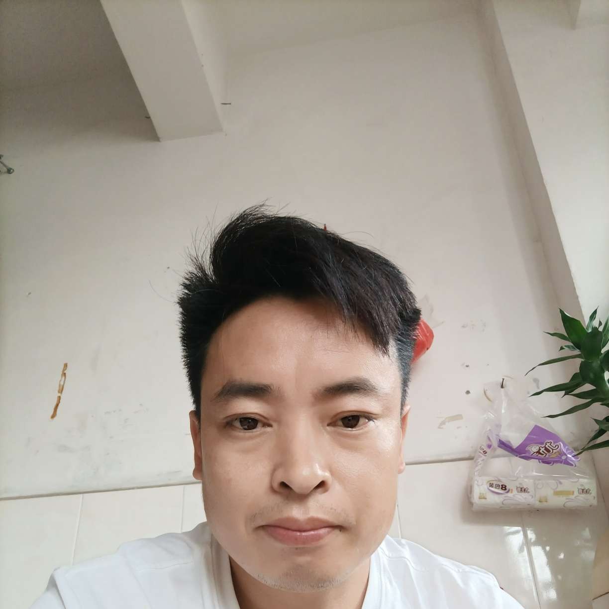 小松鼠放弃受伤的照片