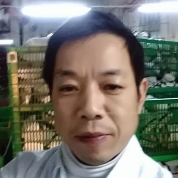 绵密皮带的照片