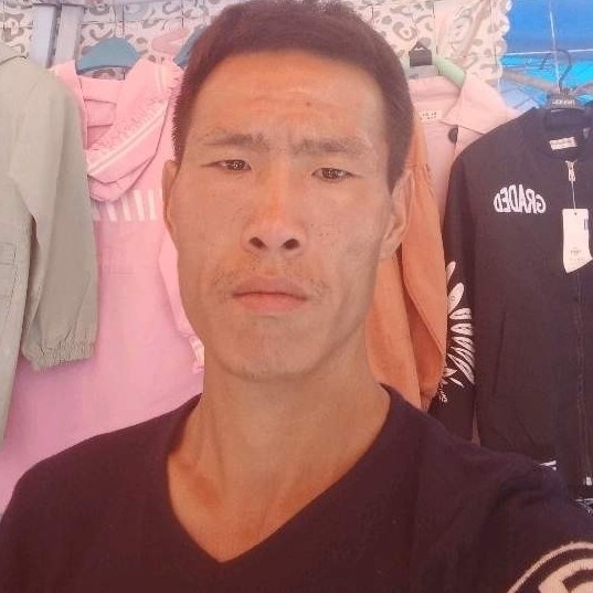傻傻鲜花的照片