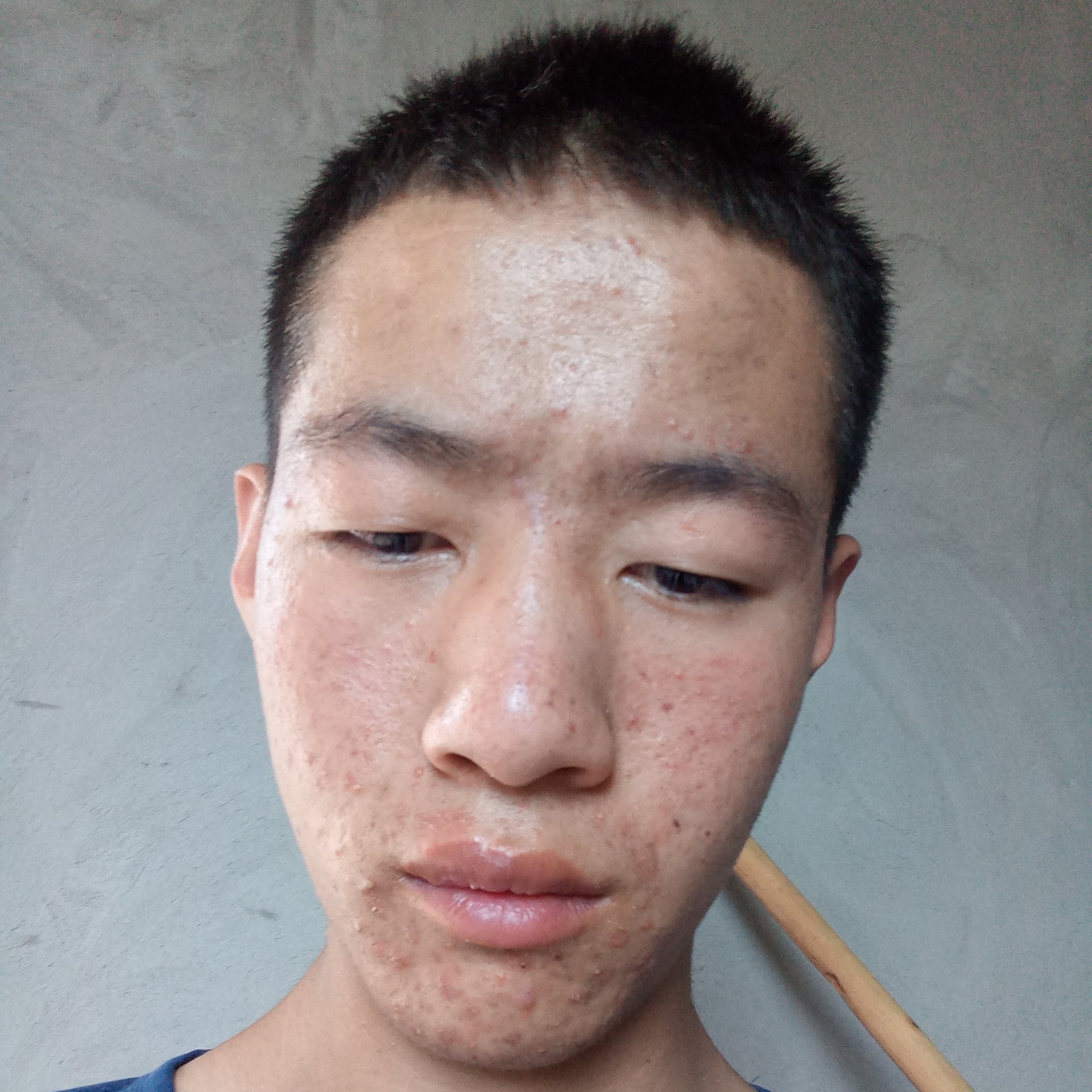 树叶停止诚心的照片