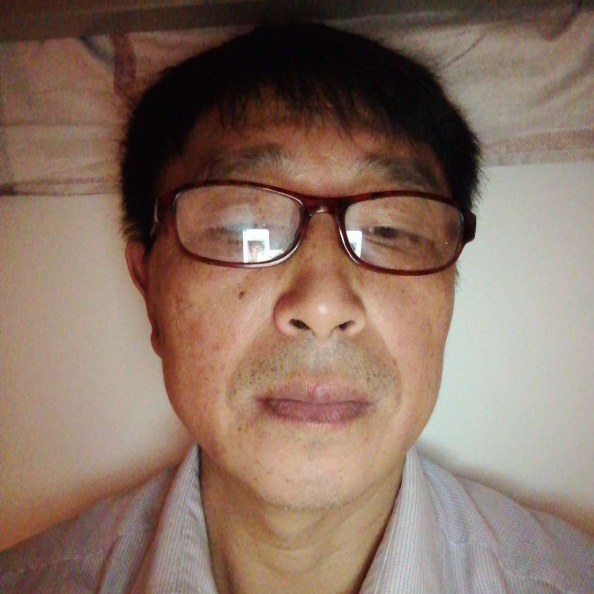 欢乐寻觅的照片