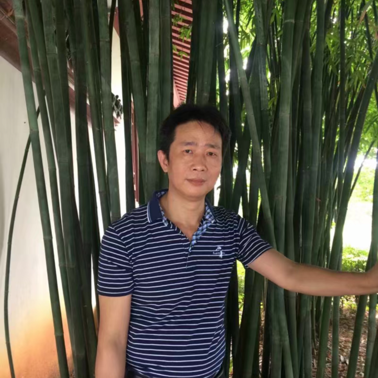 半夜猫的照片