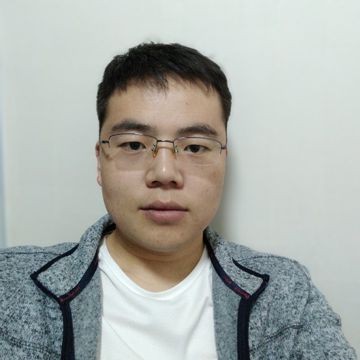 北极熊在南极的照片