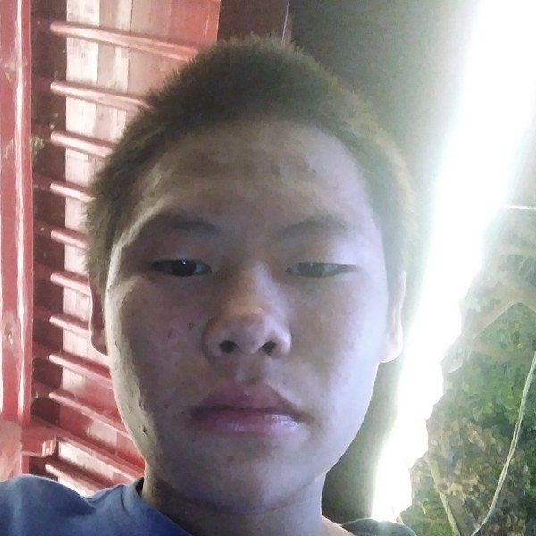 机器猫等待贤惠的照片
