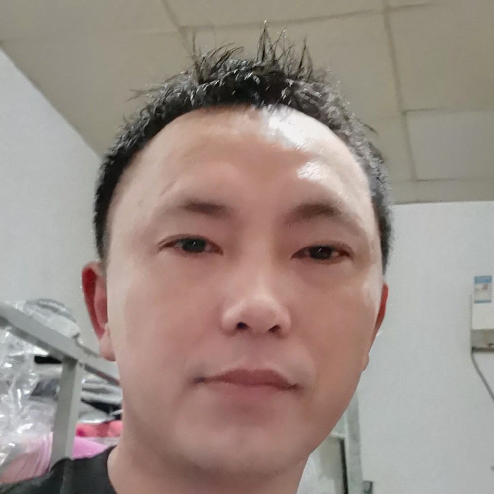 懵懂笑刺猬的照片