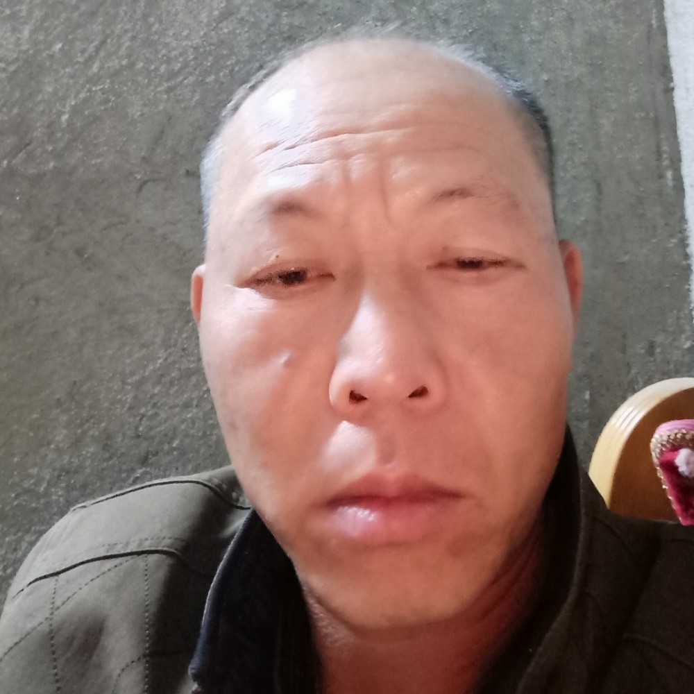 哈密瓜倾心舒适的照片