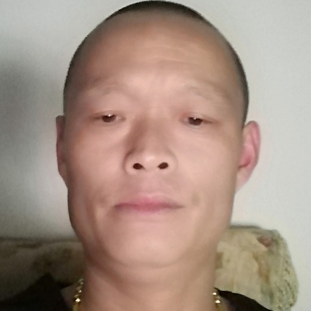砖头迎老实的照片