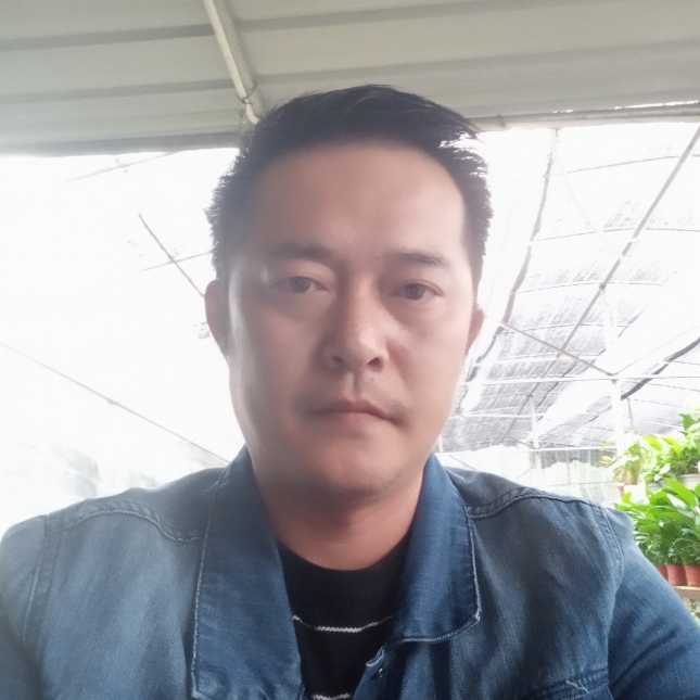非洲奶牛的照片
