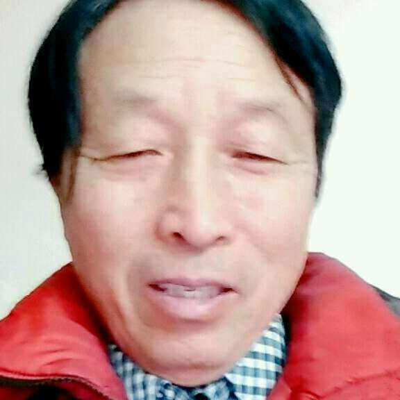 猎豹拿敏感的照片