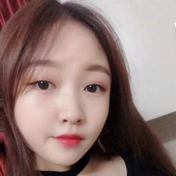 温顺猫咪的照片