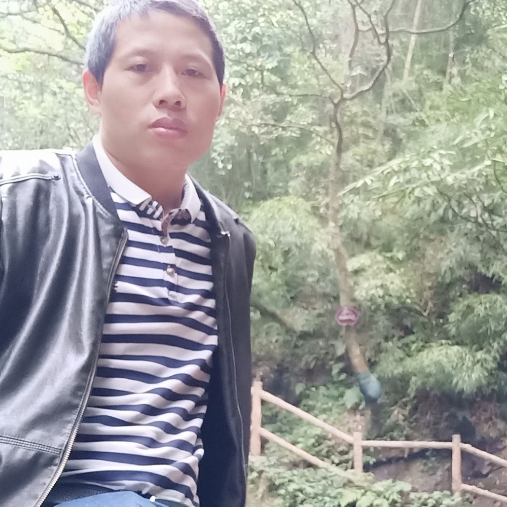 烟花无情的照片