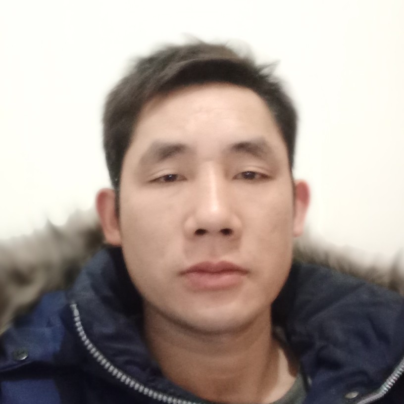 诺亚方 舟的照片