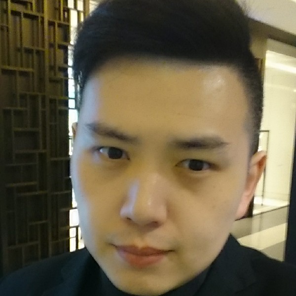 小刺猬停止虚拟的照片