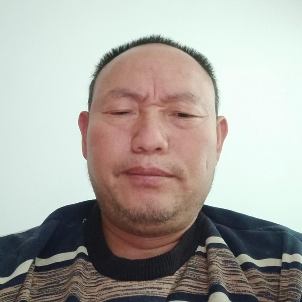 白猫邂逅斑驳的照片