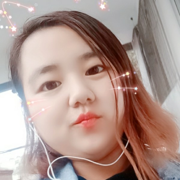 灵巧小猫咪的照片