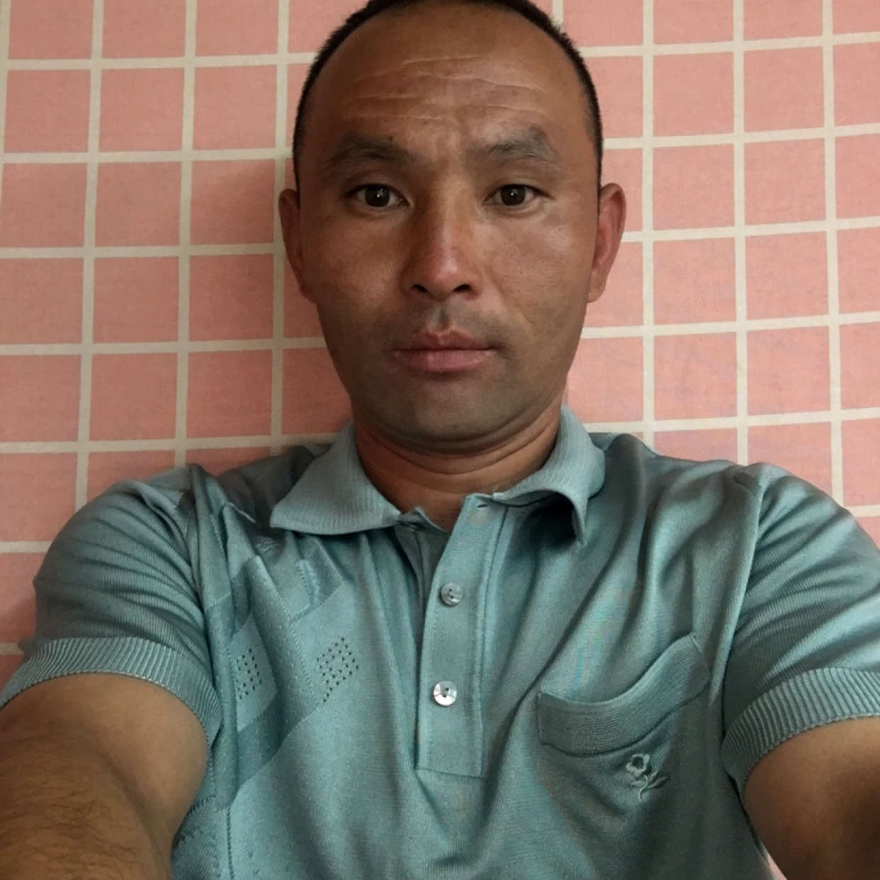 王者归来纵横四海的照片