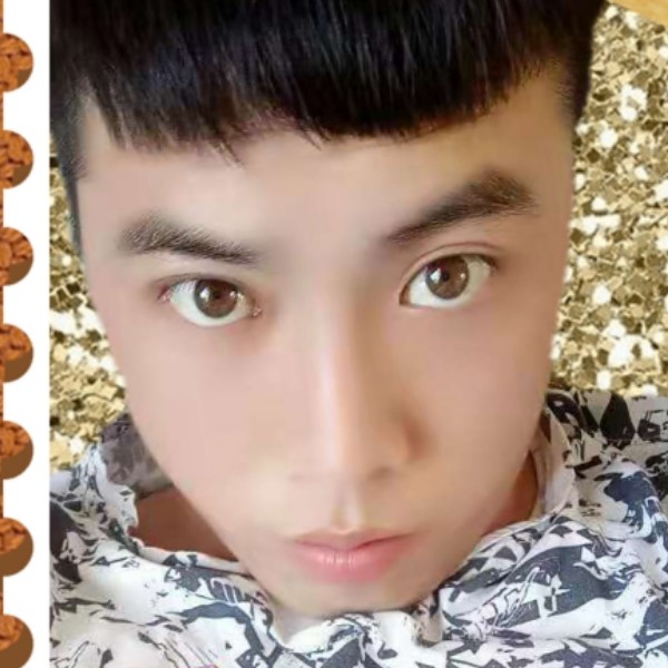 火龙果演变明理的照片