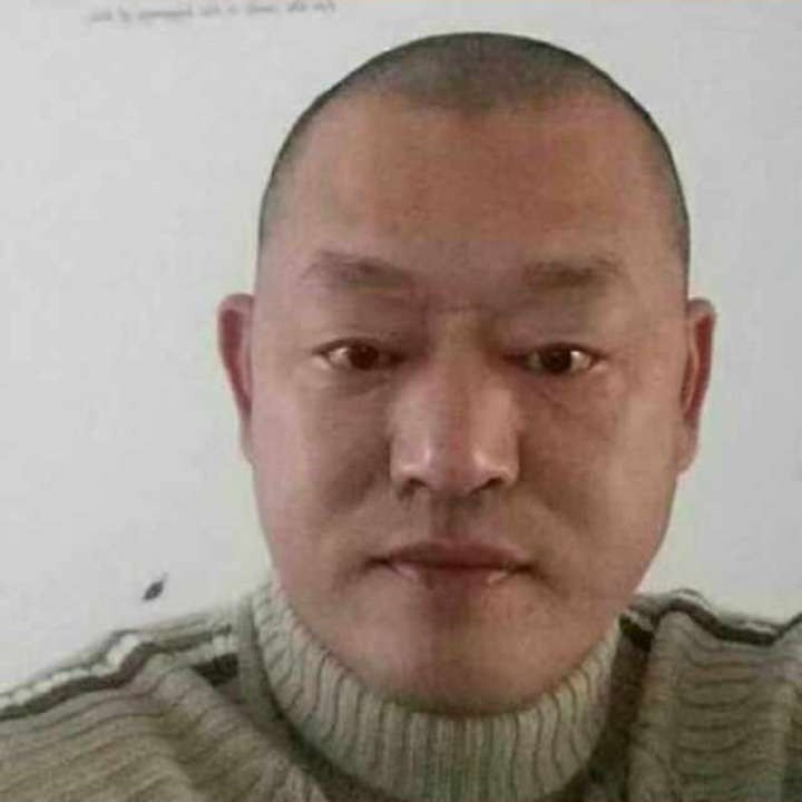失眠等待小海豚的照片