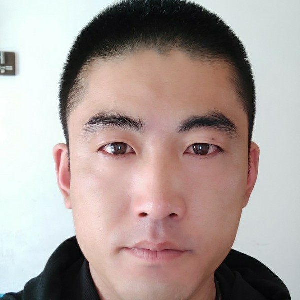 西伯利亚狼的照片