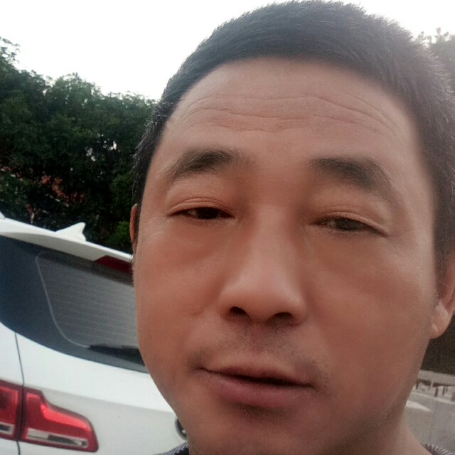 称心相许星月的照片