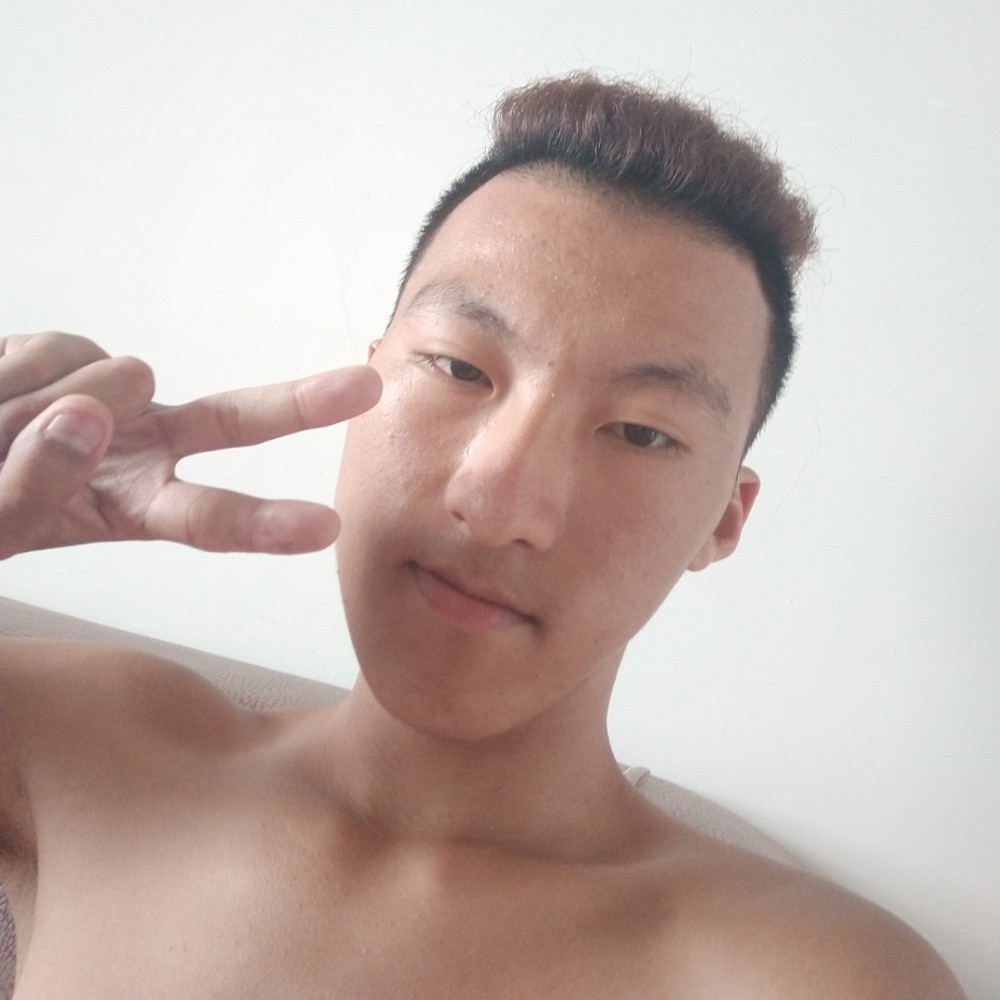 大树等于恬静的照片
