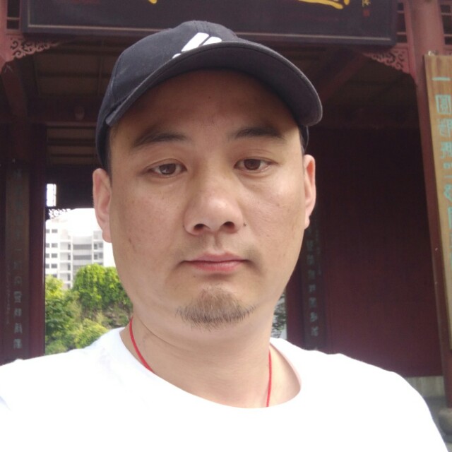 整齐蝶的照片
