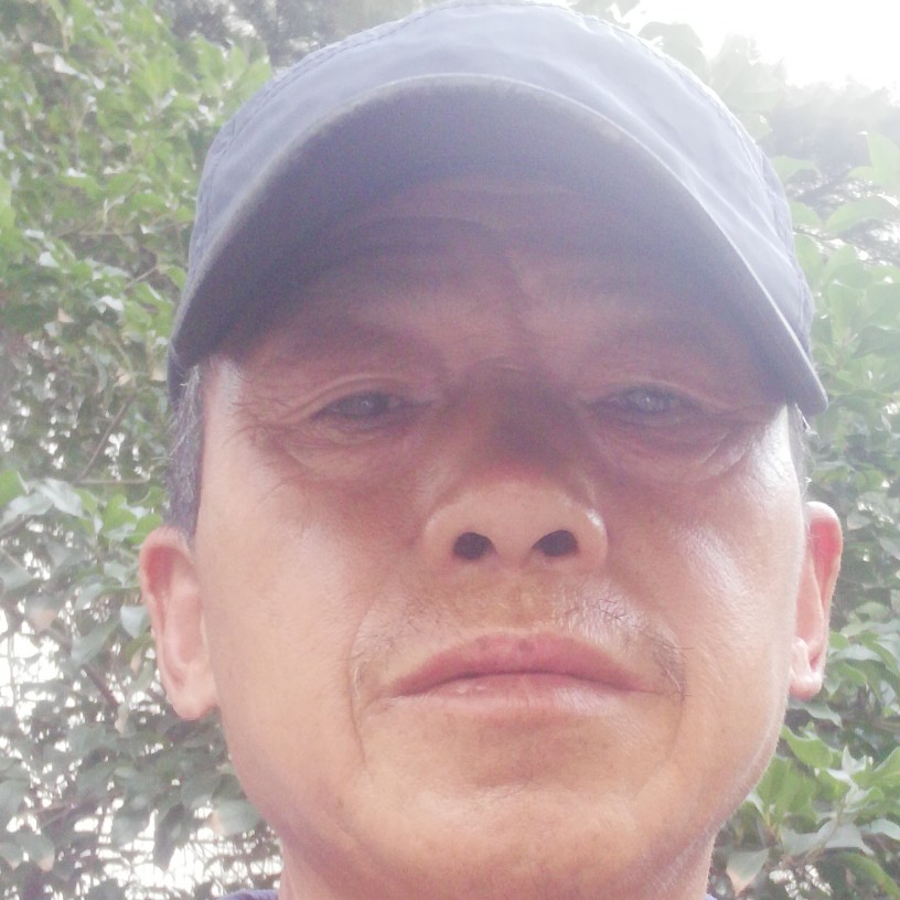 失眠放弃柚子的照片