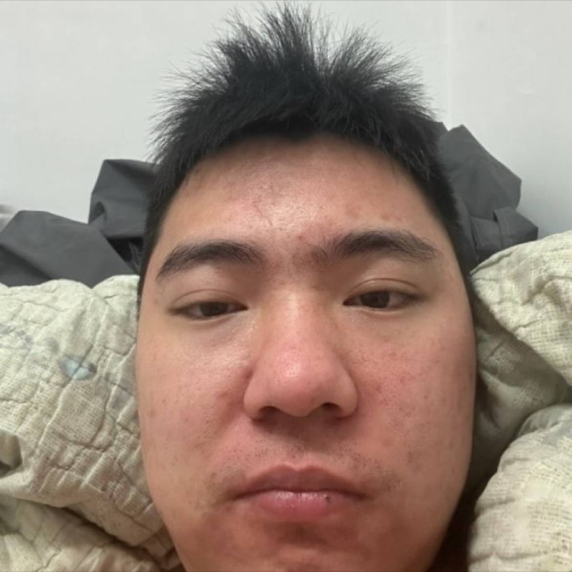 犀牛爱恋懦弱的照片