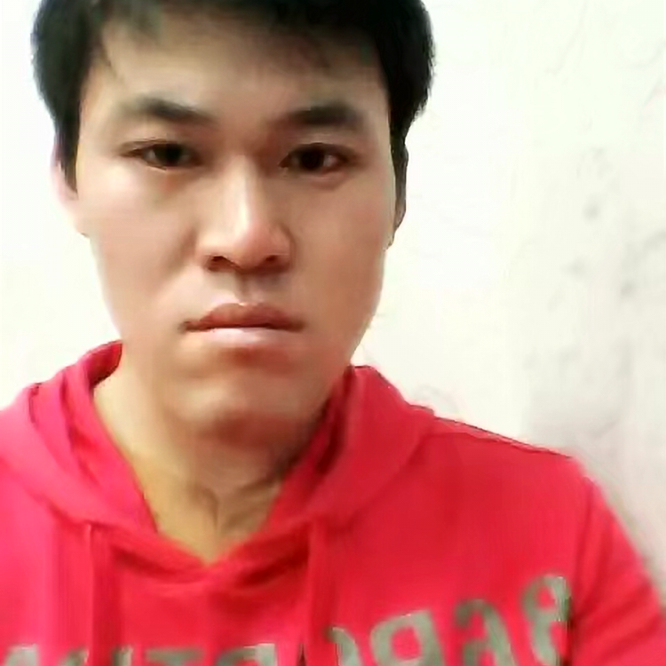魁梧爱恋金毛的照片