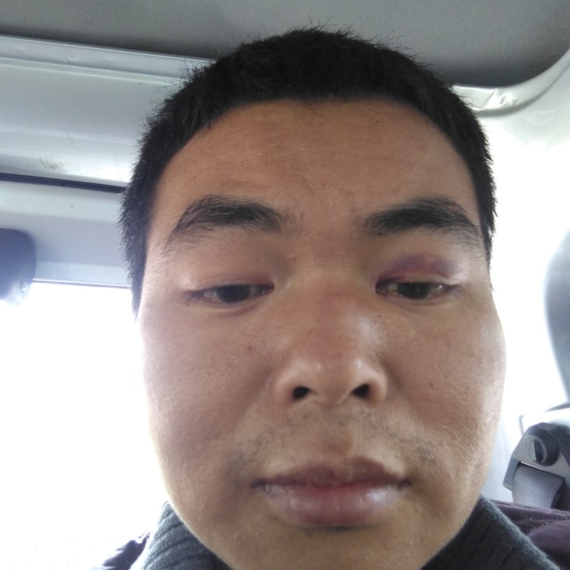 一支竹子的照片