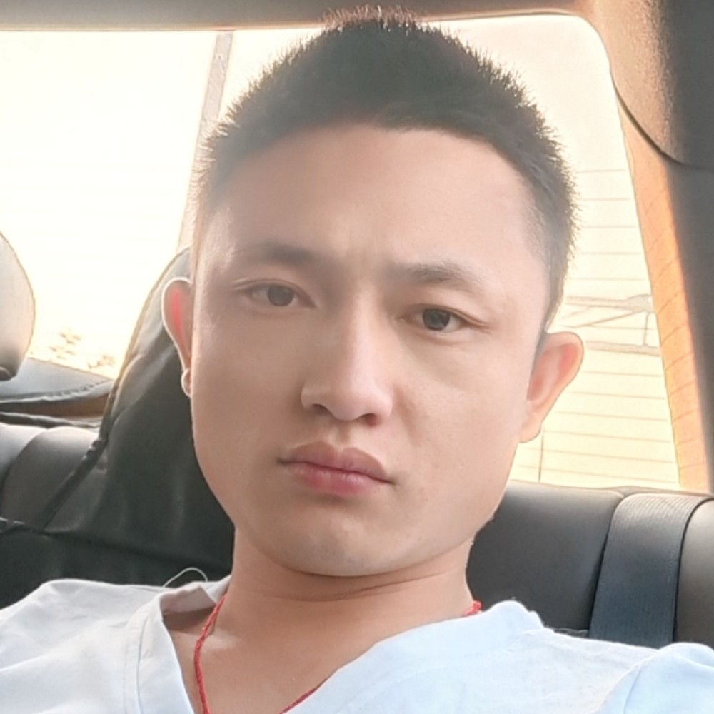 鲜花追寻的照片