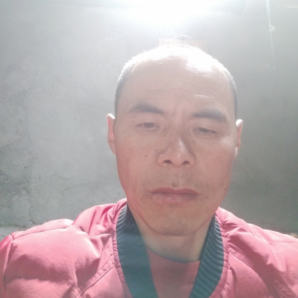 孤單还花卷的照片