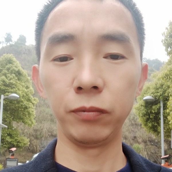 超帅的小蜜蜂的照片