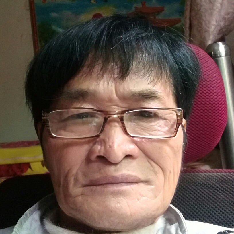魁梧挽手乌龟的照片