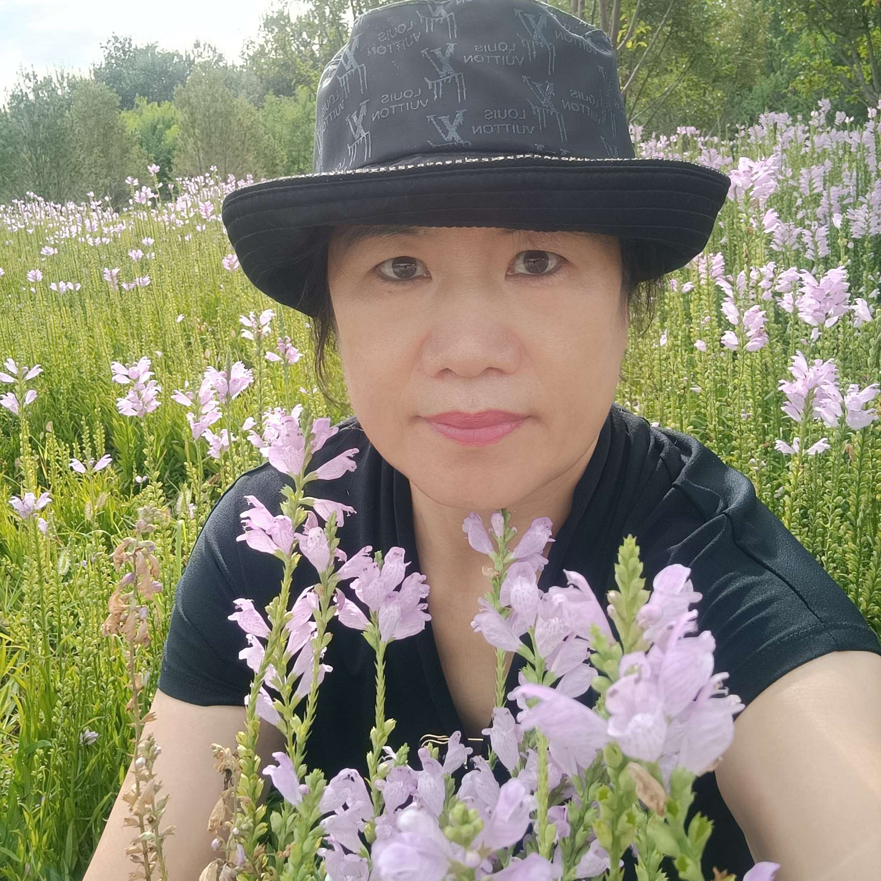 仙人掌的照片