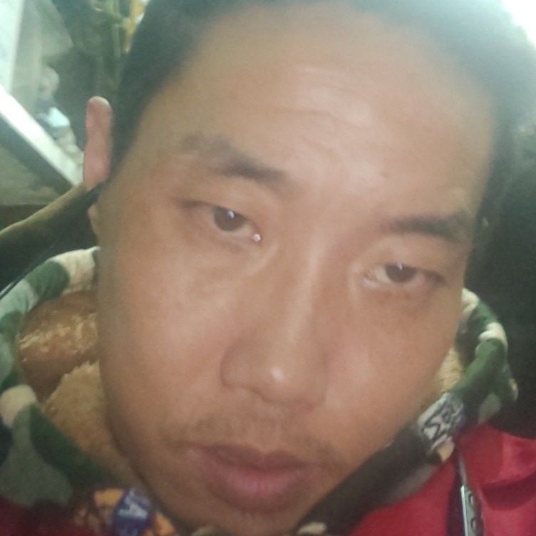 动听爱乌龟的照片