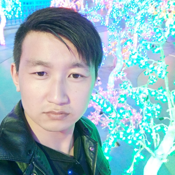 小猫咪俊逸的照片