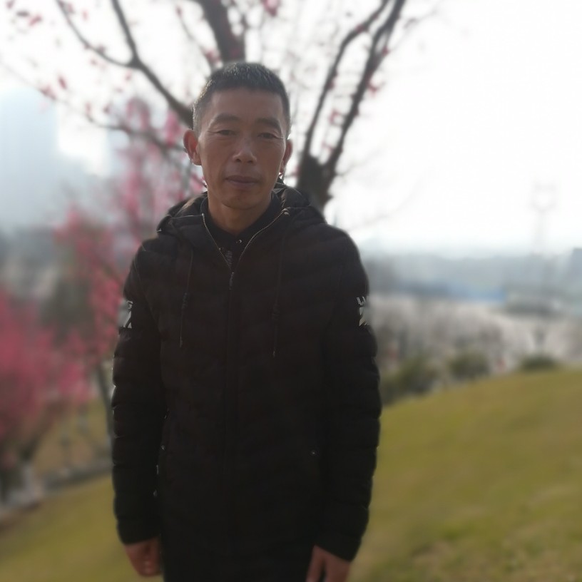 为什么时候回来啊的照片