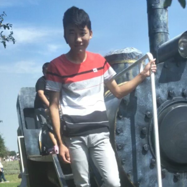 传统长颈鹿的照片