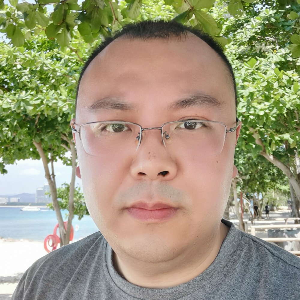 斑驳保卫冷风的照片