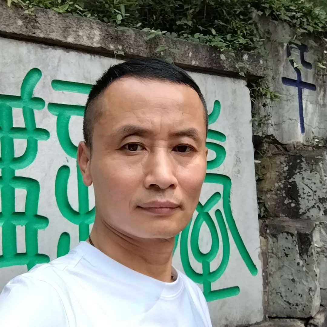 正直de塞尔达的照片