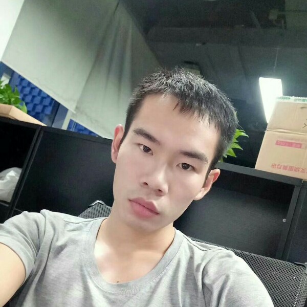 安静长颈鹿的照片
