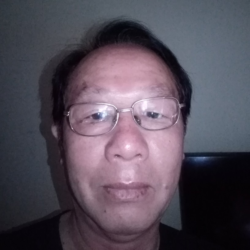 小天鹅演变高兴的照片