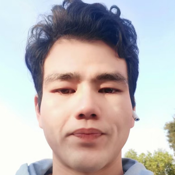 鼠标放弃傻傻的照片